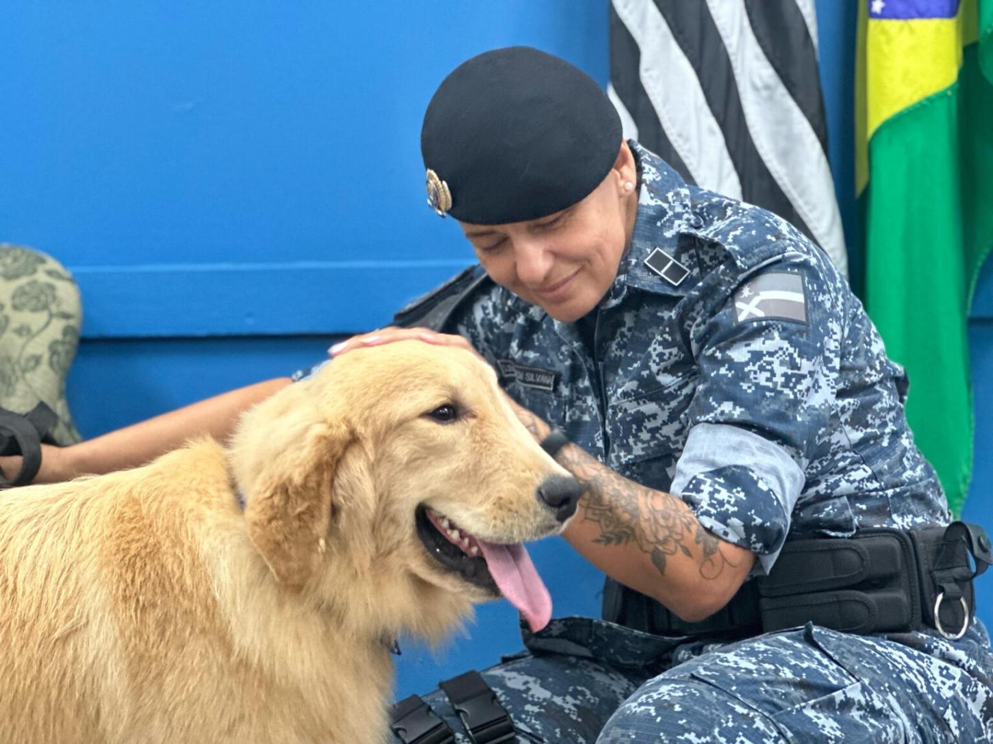 GCM de Ribeirão Pires recebe doação de novos cachorros para integrar equipe do canil