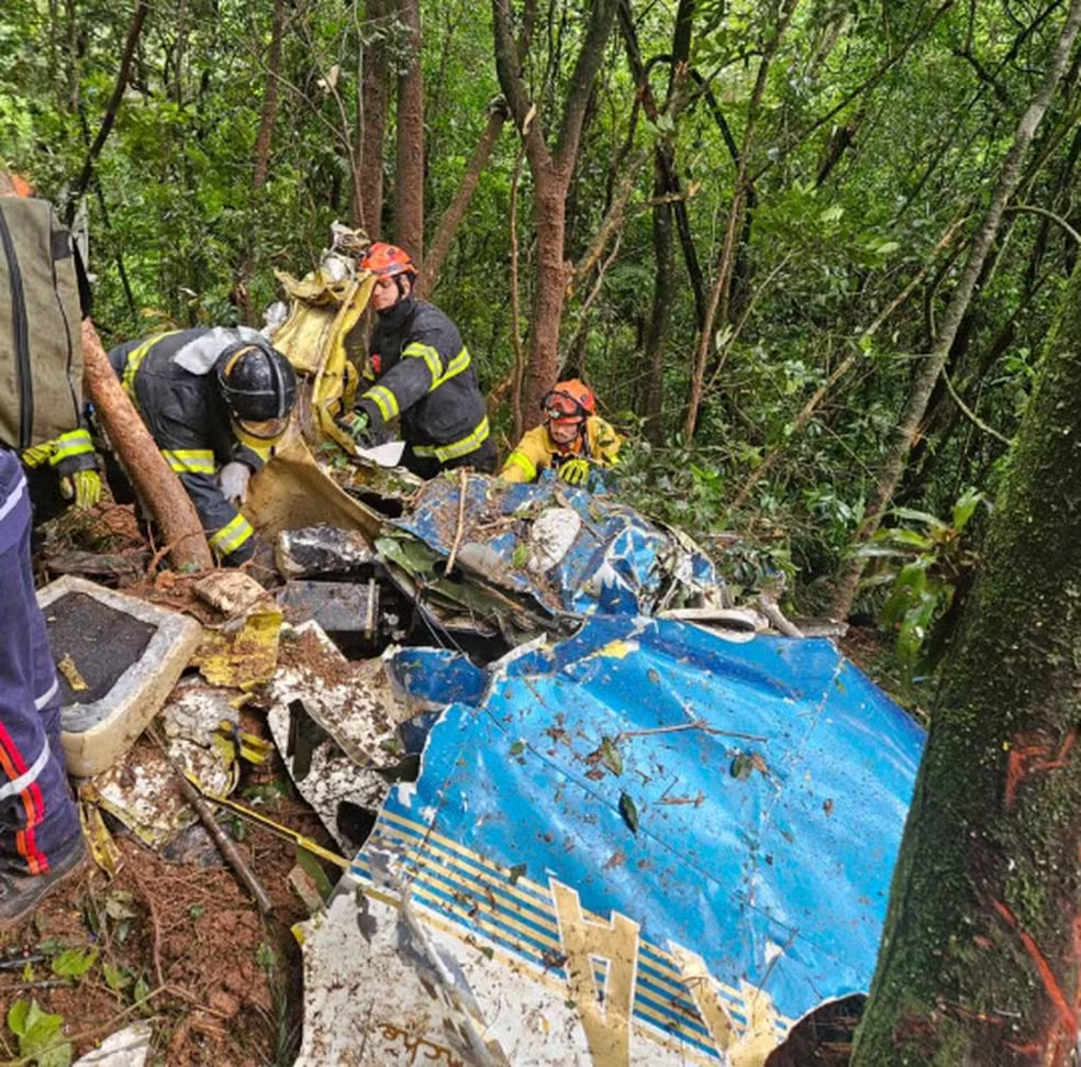 Avião de pequeno porte cai em área de mata na Grande SP; duas pessoas morreram — Foto: Divulgação/Corpo de Bombeiros