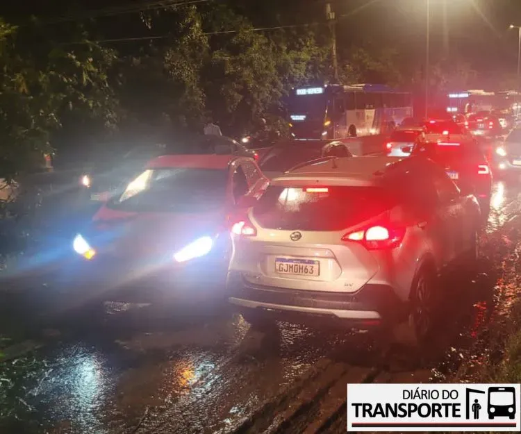 Queda de árvore em Santo André afeta diversas linhas de ônibus e lotação tumultua Terminal Vila Luzita