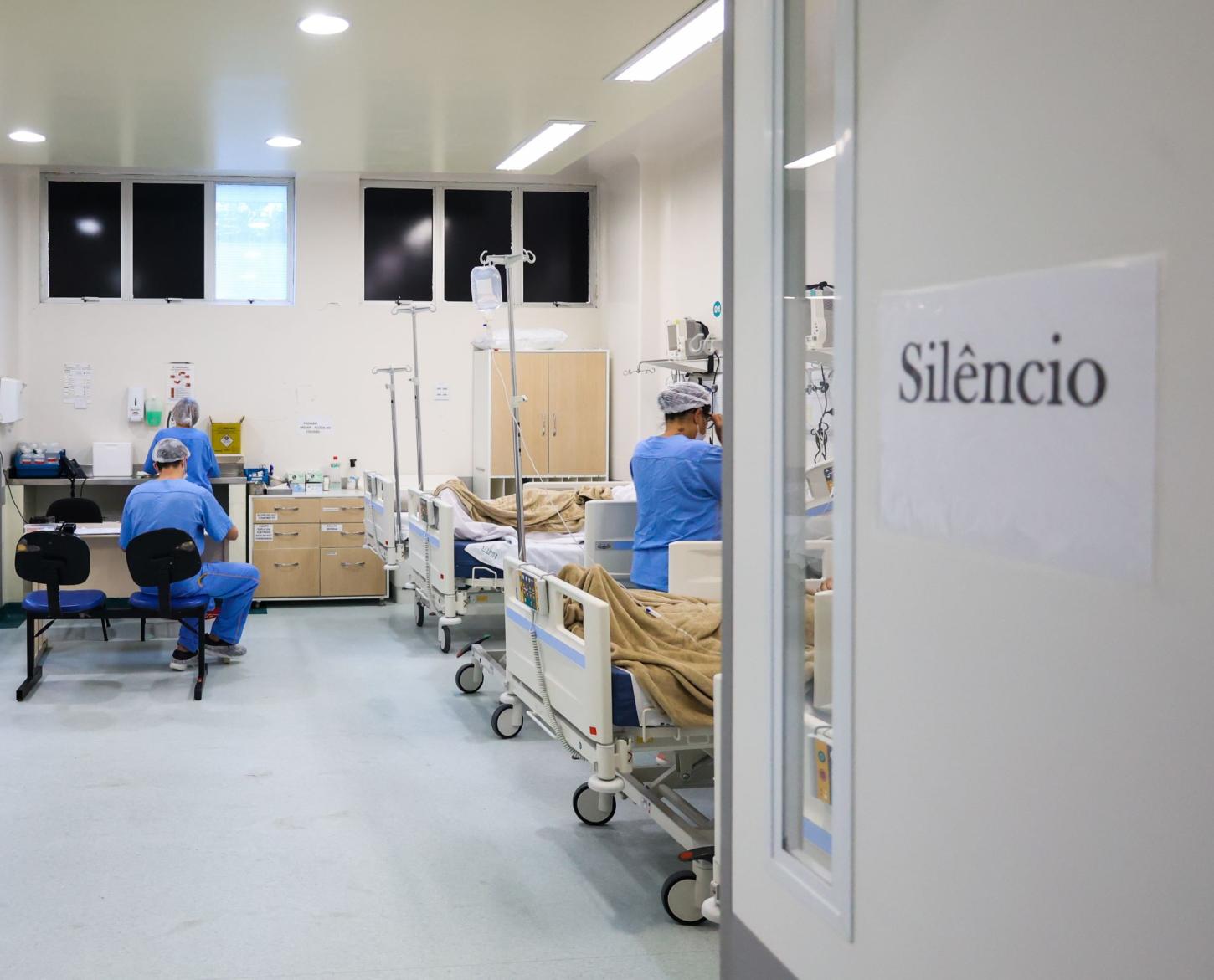 Combate à Dengue: Sintomas, Tratamento e Prevenção