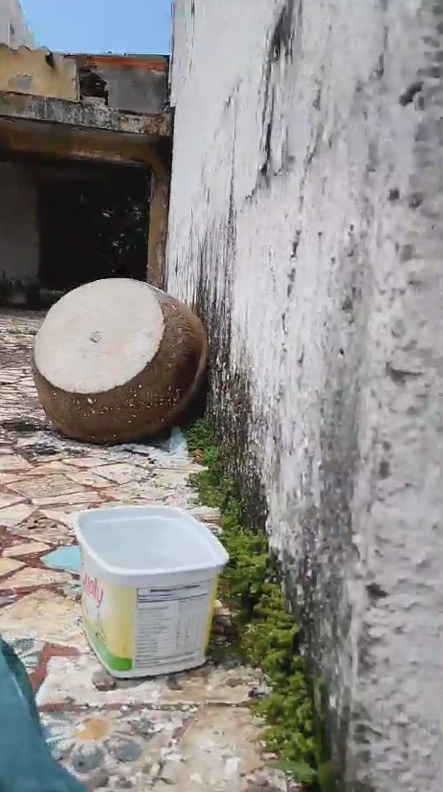 Casa abandonada gera mau cheiro e risco à saúde