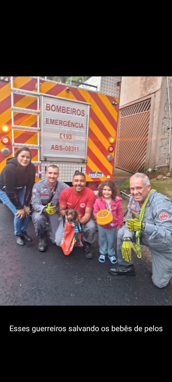 CACHORRINHA É RESGATADA PELOS BOMBEIROS APÓS DIAS PRESA EM BARRANCO NO JARDIM ROSINA