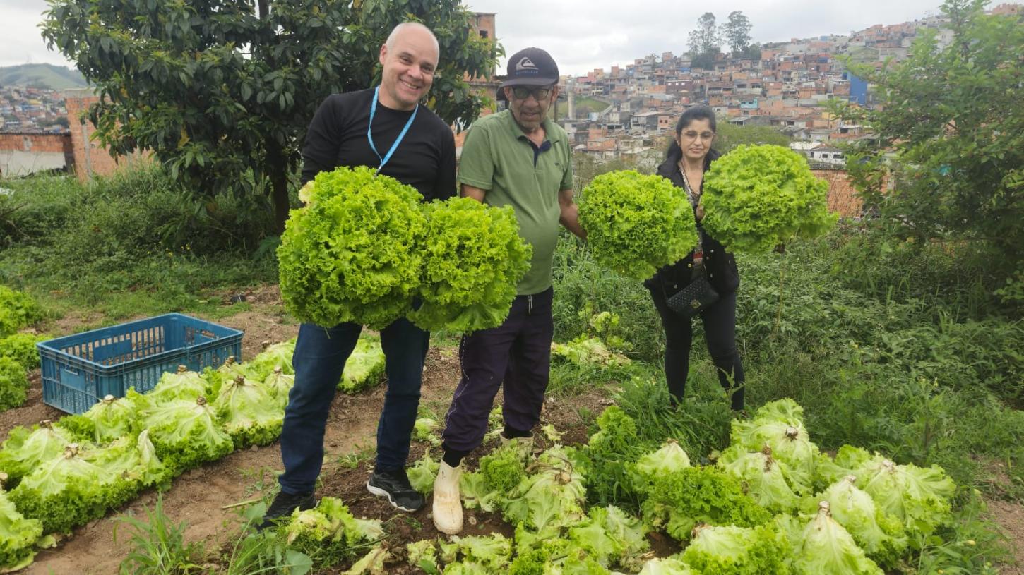 HORTA URBANA DE MAUÁ RENDE 800 PÉS DE ALFACE PARA FAMÍLIAS CARENTES