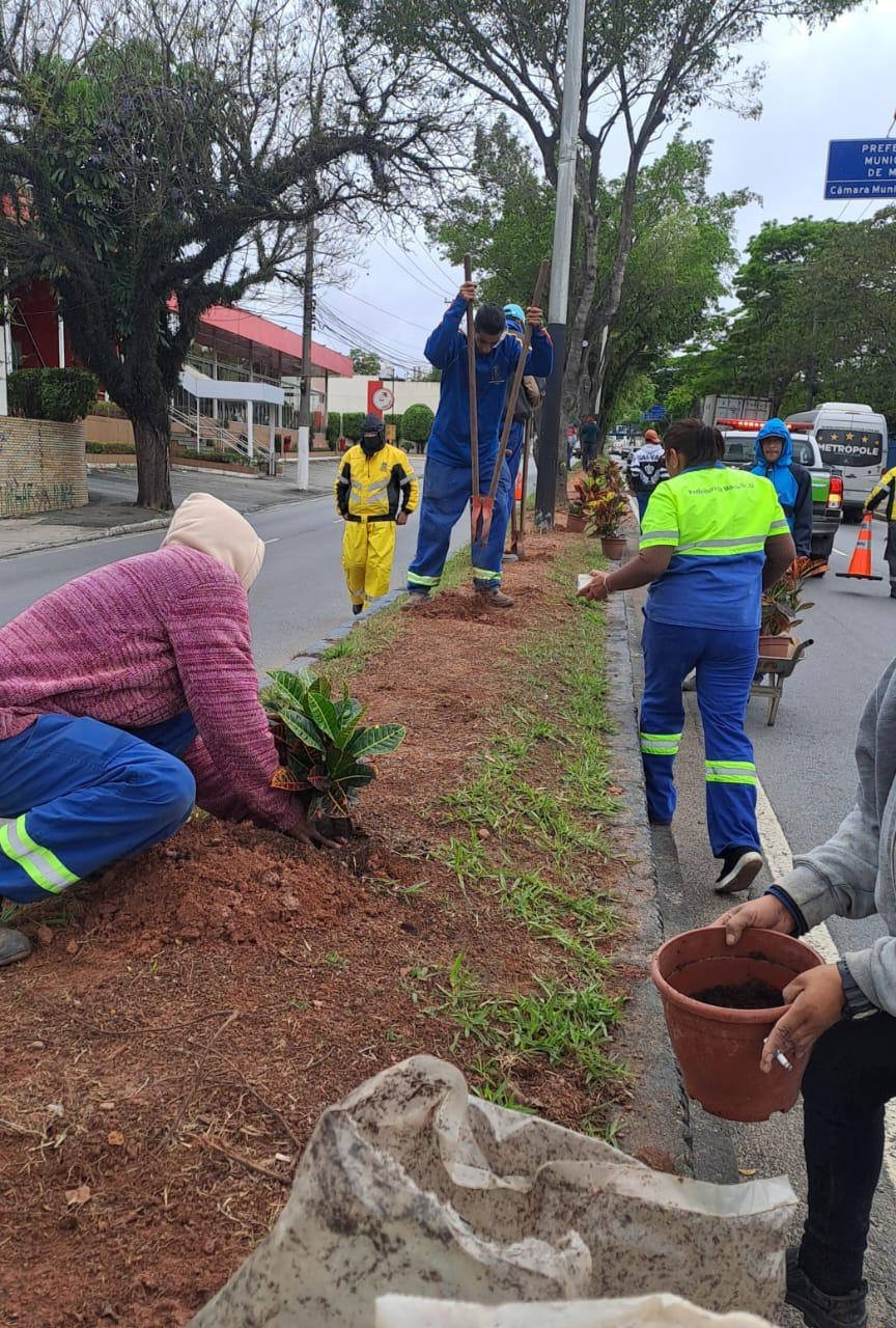 PRAÇAS DO VILA ASSIS GANHAM NOVA VIDA COM REVITALIZAÇÃO E PROJETO VERDE
