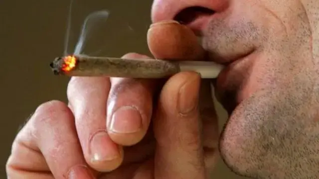 MACONHA NO TRABALHO: O QUE É PERMITIDO?