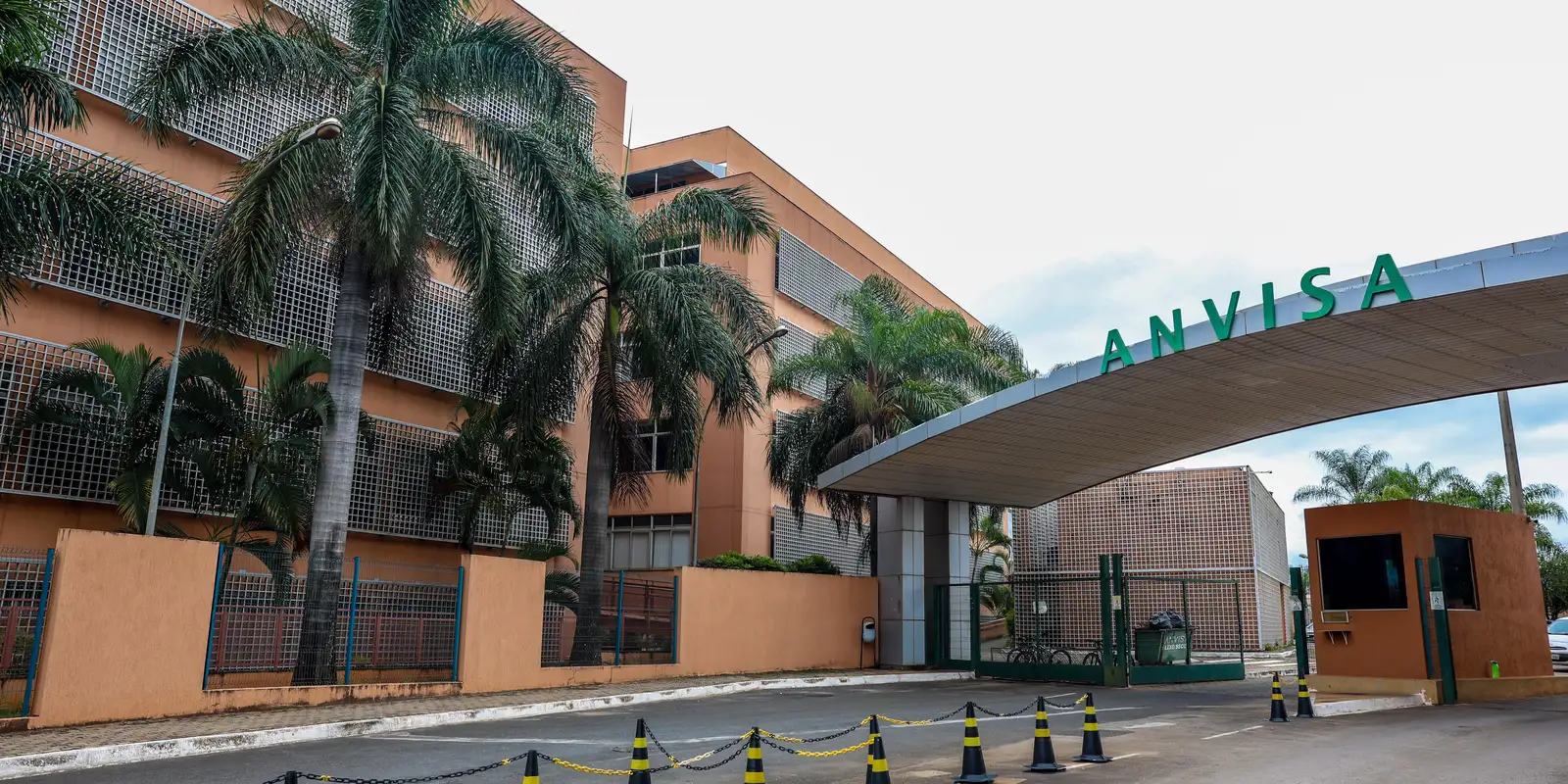 Anvisa aprova novas canetas de semaglutida, incluindo a 1ª genérica