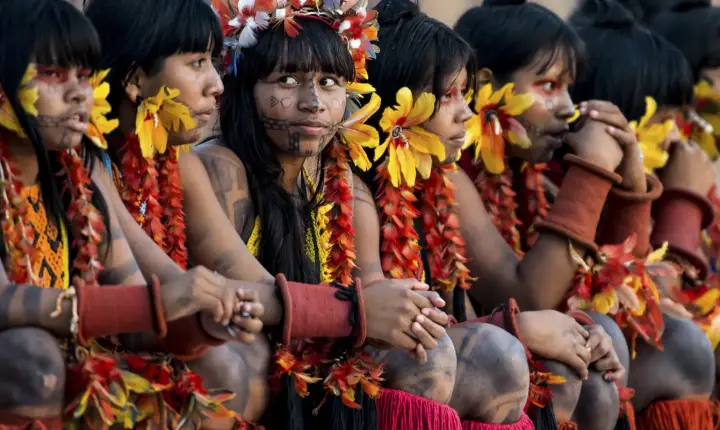 Programa de saúde do governo já atendeu mais de 24 mil indígenas 